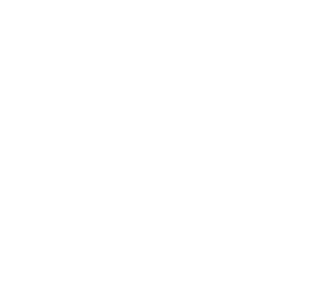 PERPETUAL-Energy-Logo_white